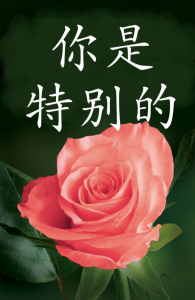 Mandarin 'You Are Special' Gospel Tract